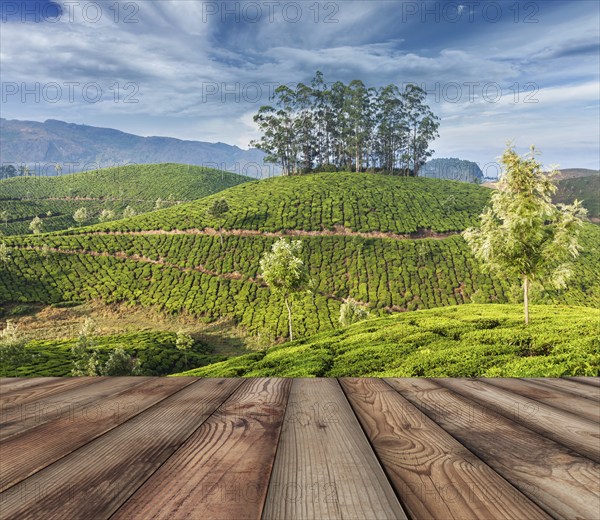 Wood planks floor with green tea plantations in background. Munnar, Kerala, India, Asia