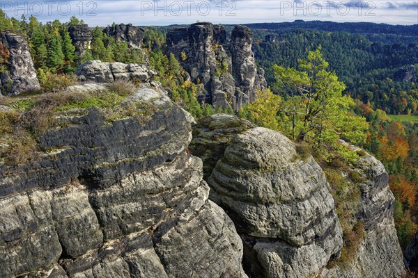 View of the rock formations of Saxon Switzerland from the Ferdinandstein, Lohmen, Elbe Sandstone