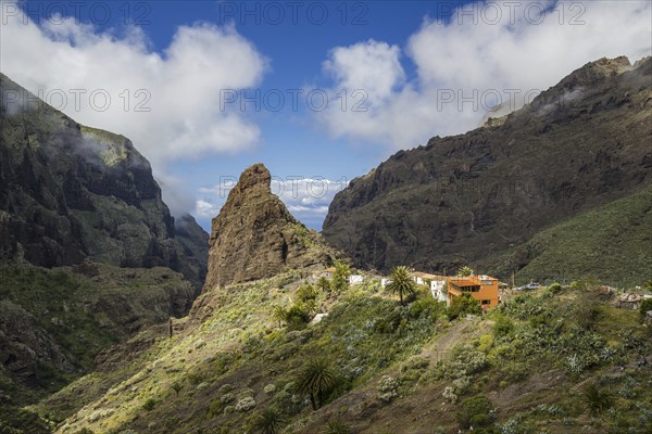 Masca mountain village, Masca Gorge, Barranco de Masca, Teno Mountains, Tenerife, Canary Islands,