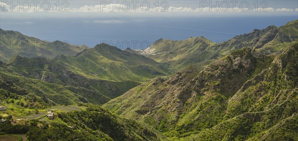 Panorama from Mirador Pico del Inglés, Las, macizo de anaga (Montanas de Anaga), Tenerife, Canary