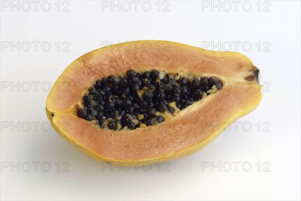 Pawpaw (Carica papaya), melon tree family, Caricaceae