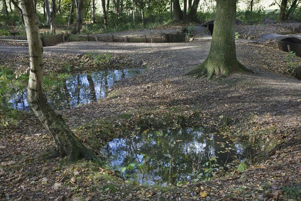 Trenches from the First World War in the Sanctuary Wood Museum Hill 62 in Zillebeke, Belgium,