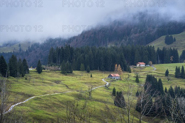 Landscape in the Allgäu, meadows, forests and individual farms. A small road leads to the farms.