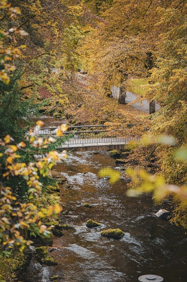 Bridge through the forest in the spa gardens during autumn, Bad Wildbad, Black Forest, Germany,