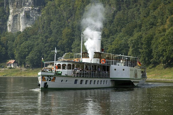 Elbe steamers in Saxon Switzerland