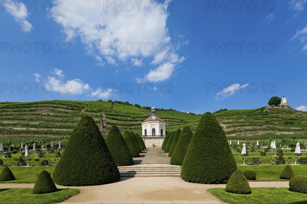 Schloss Wackerbarth or Wackerbarths Ruh' is a baroque castle surrounded by vineyards in the