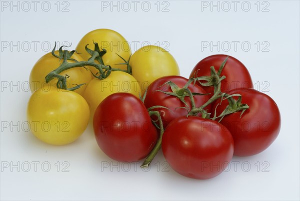 Red and yellow tomatoes (Solanum lycopersicum), vegetable, nightshade family, Solanaceae, red,
