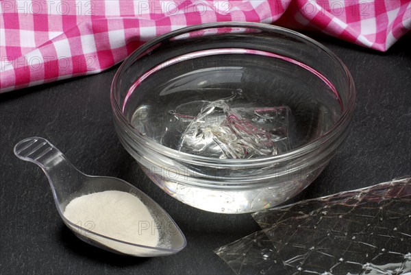 Leaf gelatine, soaked in bowl with water and agar-agar, gelatine leaf, edible gelatine, gelling