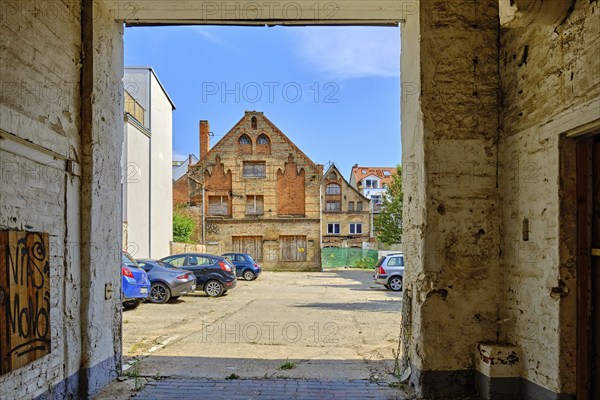 Backyard idyll in Papenstraße, Old Town Hanseatic City of Wismar, Mecklenburg-Western Pomerania,