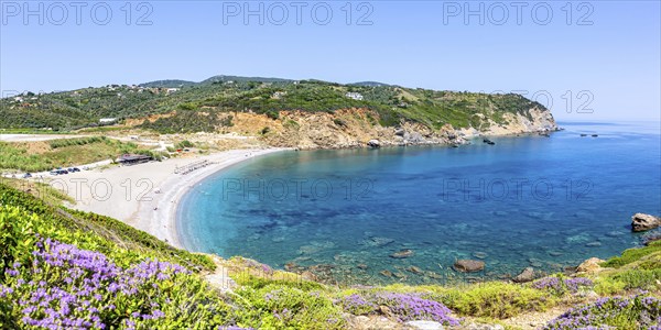 Xanemos beach holiday by the sea on the Mediterranean island of Panorama Skiathos, Greece, Europe