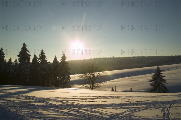 Landscape near Hermsdorf