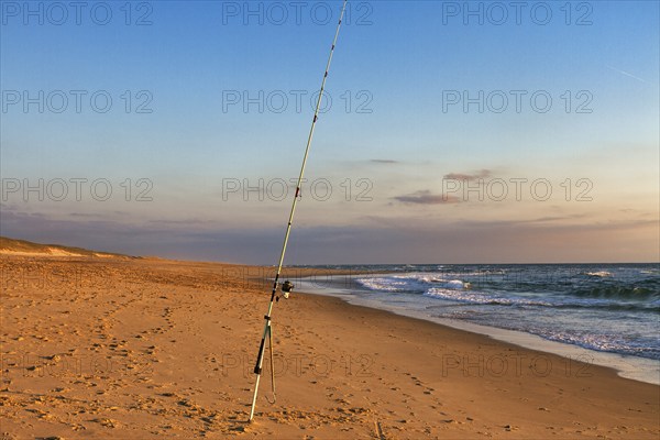 Surf fishing, fishing rod stands on the beach, Soustons Plage, evening light, Silver Coast, Côte
