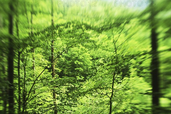 Forest damage in the Sauerland region has caused about 40 % of the spruce stand, especially in