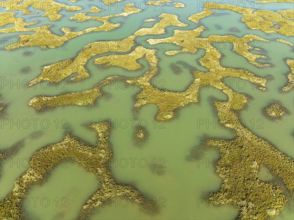 Network of channels and streams at low tide, in the marshland of the Bahía de Cádiz, aerial view,