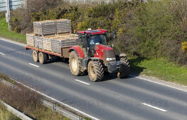 CASE 165 tractor with trailer carrying seed potatoes, A12, Suffolk, England, UK