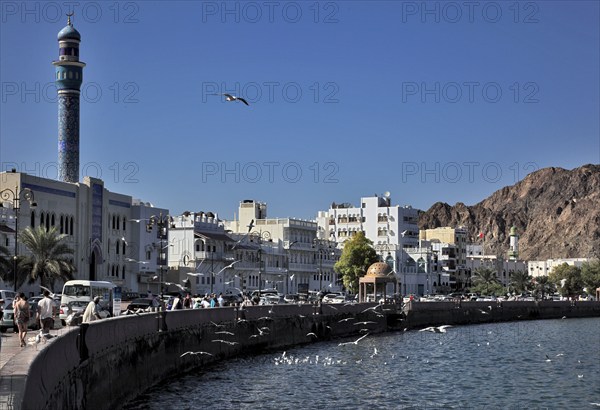 Mutrah district, Corniche, Muscat, Oman, Asia
