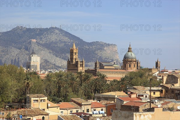 City of Palermo, View from the Campanile di San Giuseppe Cafasso to the Cathedral Maria Santissima