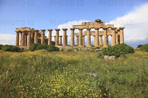 Selinunte, Temple E in the archaeological site of Selinunte, Trapani Province, Sicily, Italy,