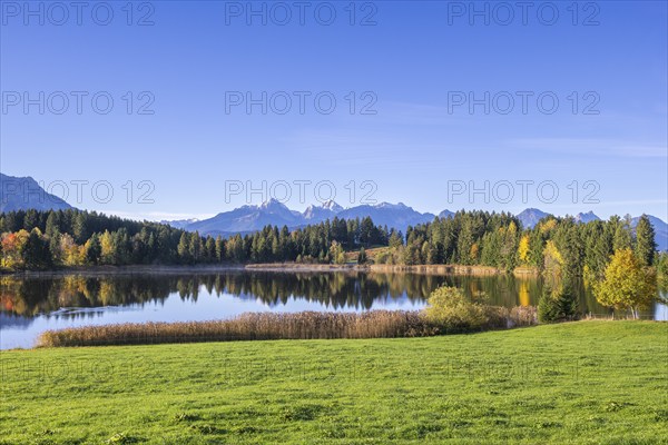 Hegratsrieder See near Füssen, Allgäu Alps, Allgäu, Bavaria, Germany, Europe