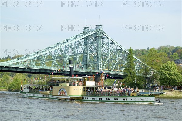 Steamboat parade on the Elbe