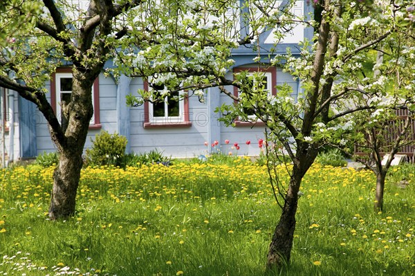 Bertsdorf