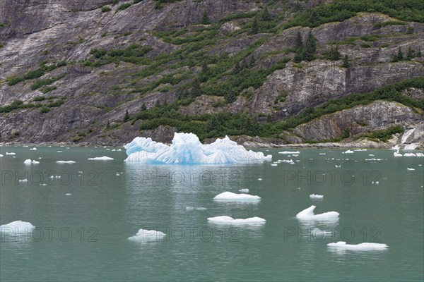Pieces of ice and fronts of a glacier calving into the sea, Tracy Arm Fiord, Tongass National