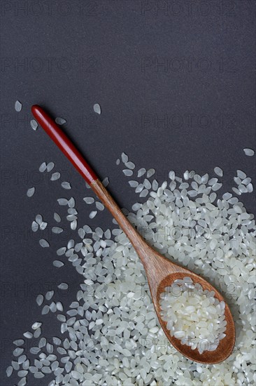 Rice, white rice grains in wooden spoon