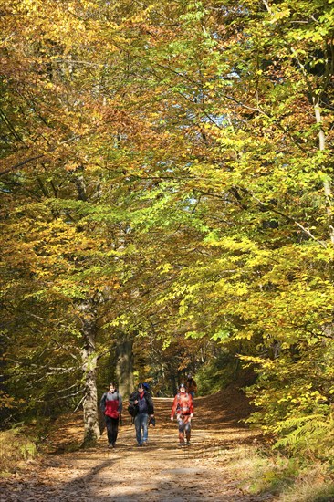 Hikers in the Schrammstein area in the back of Saxon Switzerland
