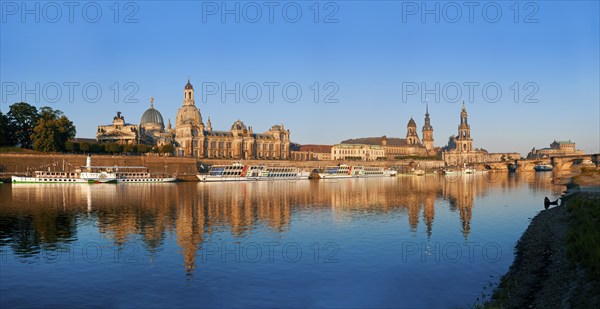 Dresden silhouette in spring. Numerous Japanese cherry trees blossom on the banks of the Neustädter