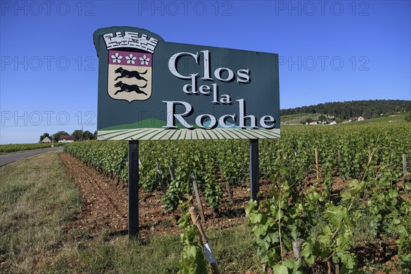 Sign at a vineyard on the Route des Grand-Crus, Route of Fine Wines, Clos de la Roche,