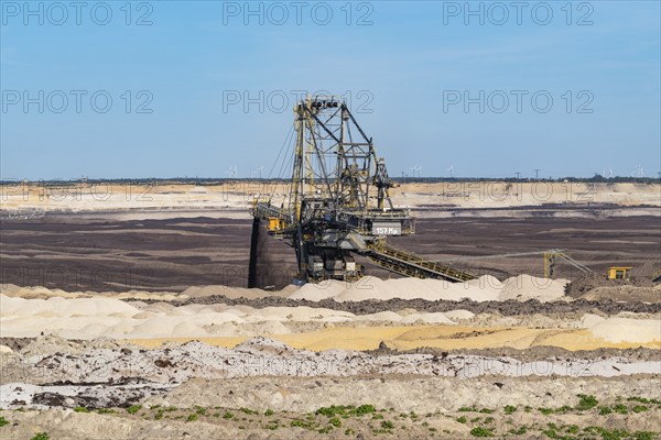 Weaners in the Welzow-Süd opencast lignite mine, Niederlausitz, Spree-Neiße, Brandenburg, Germany,