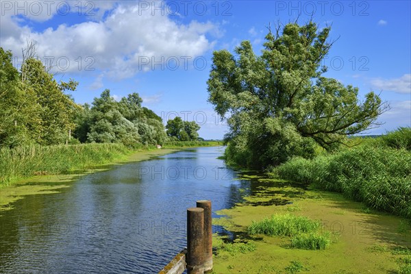 Picturesque river landscape, view from the heritage-protected wooden bascule bridge over the Trebel
