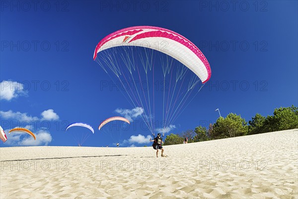 Several paragliders on a dune, ready to take off on the Dune du Pilat, Arcachon, Gironde,
