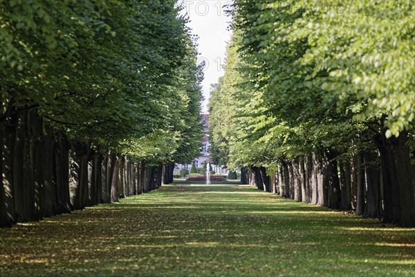Avenue in the Court Garden, Orangery, Margravial Court Garden Ansbach Park, Garden, Palace Garden,
