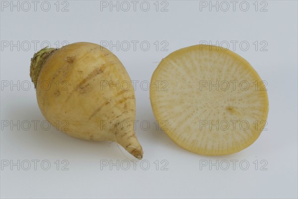 Beet (Brassica rapa), Kohlruebe, Kohlrübe, Teltower Rübe, Speiserübe, Gemuese, vegetable,