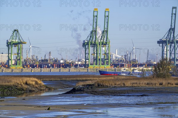 Antwerp port an breach in dike creating salt marsh in the Western Scheldt estuary at nature reserve