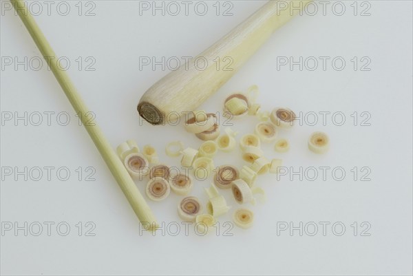 Lemon grass (Cymbopogon citratus), plants, true grass (Gramineae), landscape, horizontal, indoor,