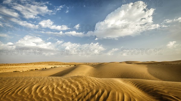 Panorama of dunes of Thar Desert. Sam Sand dunes, Rajasthan, India, Asia