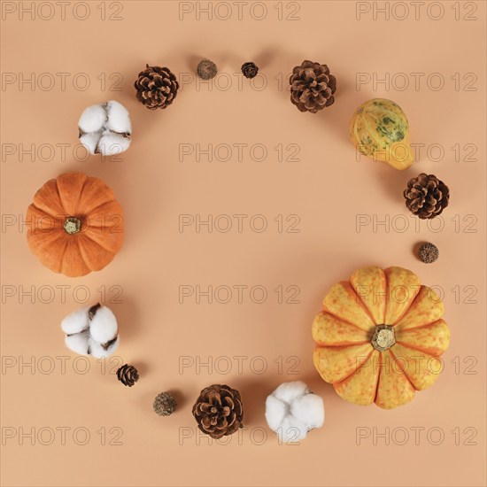 Seasonal autumn decoration like pumpkins and fir cones forming circle on beige background with