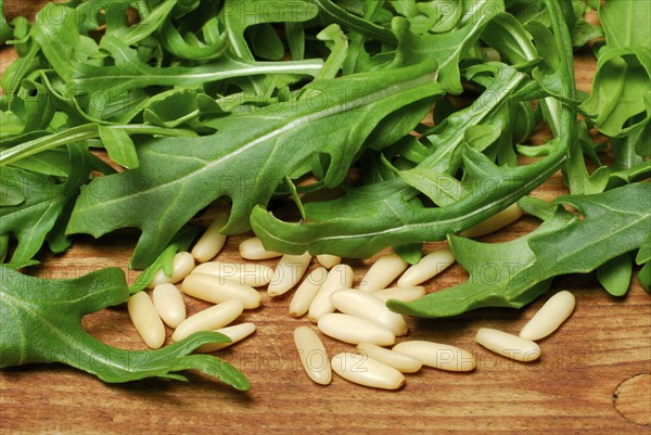 Rocket and seeds (Eruca vesicaria sativa) , rocket, arugula, arugula, rocket salad
