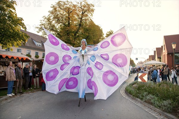 Autumn and wine festival in Altkötzschenbroda
