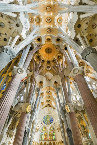 Interior view of the Familia Sagrada by the architect Antonio Gaudi in Barcelona, Spain, Europe