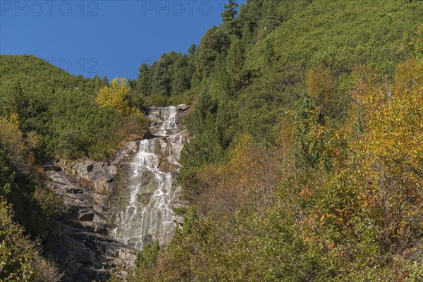 Riepenbach waterfall at Schlegeisspeicher, forest, autumn colours, Ginzling, Zillertal, Zillertal