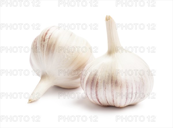 Two garlic bulbs isolated on white background