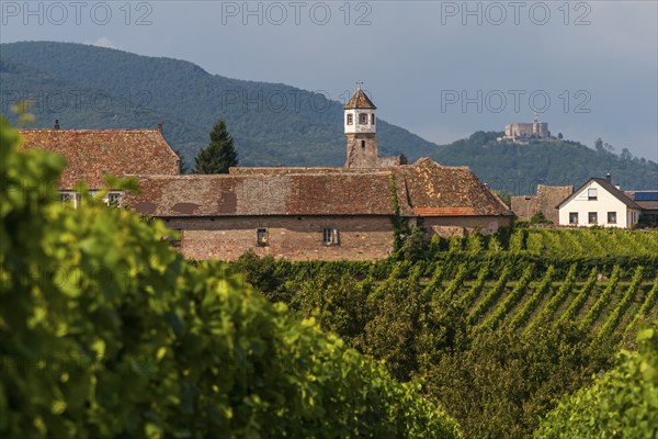 Heilbruck Monastery, Hambach Castle in the background, Edenkoben, Palatinate, Rhineland-Palatinate,