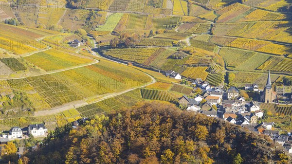 Vineyards in autumn, Mayschoß with parish church, red wine growing region Ahrtal, red wine of the
