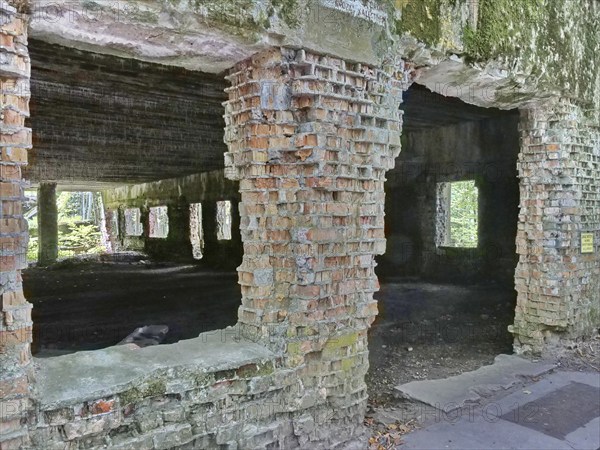 Ruins of the Wolf's Lair (also Wolf's Lair or Görlitz), the military situation centre of the