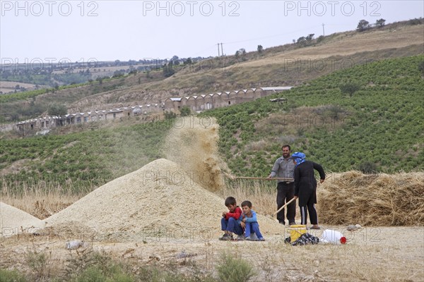 Farmer with wife and children working on cereal harvest in Iran