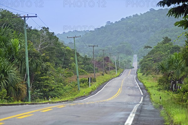 Route 174, BR-174, federal highway crossing the Amazon rainforest, rain forest, jungle in the