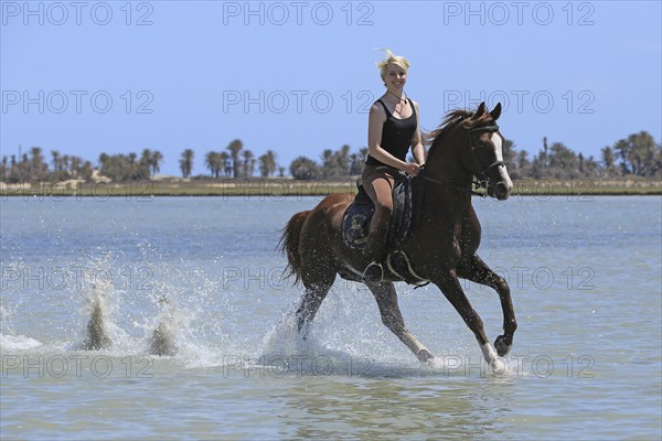 Riding holiday, Djerba, Tunisia, swimming with horses, riding, sea, Africa